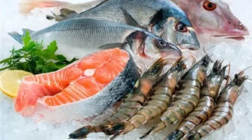 تفاوت ملحوظ في أسعار الأسماك مع انخفاض البلطي وارتفاع الجمبري والمكرونة اليوم